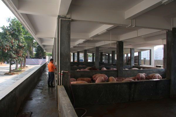 9fda85d5fe714ef0bd17a736d3f730b9.jpg 观察工作人员工作_副本.jpg